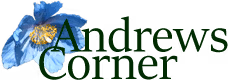 Andrews Corner